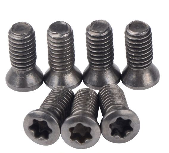 Torx screw